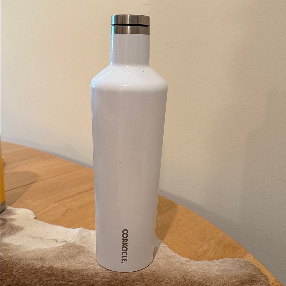 25oz Corkcicle Canteen